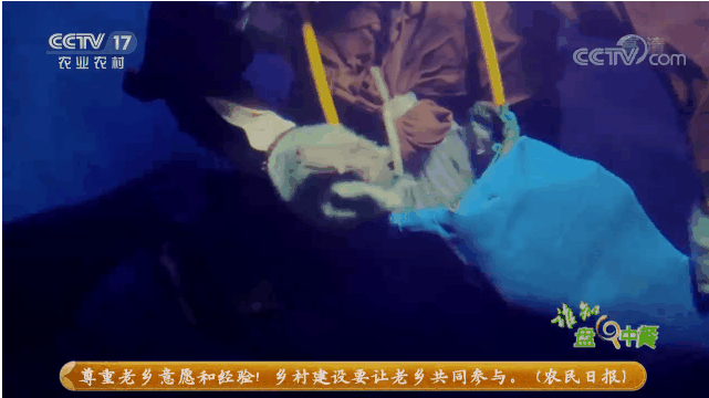 202106261729152775.png 202106261729152775.png